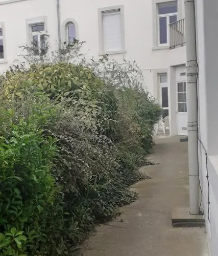 Apartment 30 M2 Refait A Neuf Idealement Situe Centre Et *